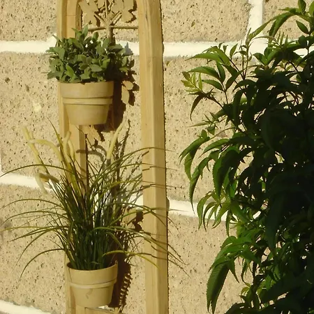 Casa Sarita * Chayofa